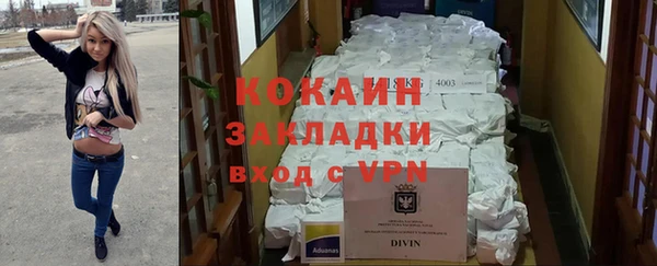 гашик Дмитровск
