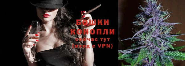 гашик Дмитровск