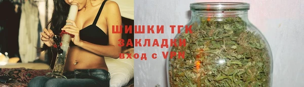 гашик Дмитровск