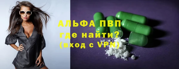 гашик Дмитровск