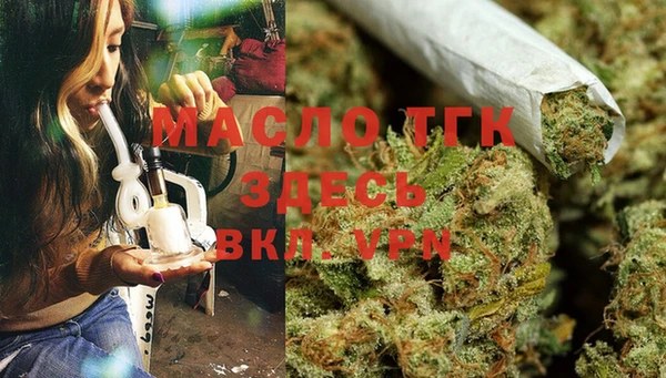 гашик Дмитровск