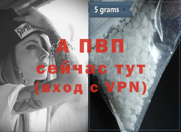 гашик Дмитровск